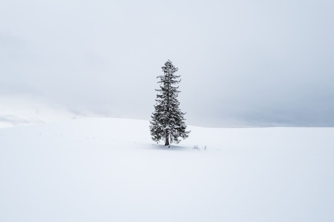 http://n.sinaimg.cn/front/w1920h1080/20180310/ASzt-fxpwyhw8553676.jpg?zdy